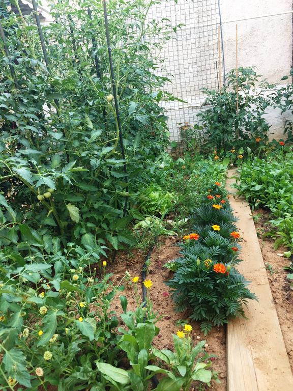Friendly People'S Guest House زادار المظهر الخارجي الصورة